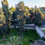 ...ammiriamo l�ampio giardino con le rigogliose fronde degli alti alberi che, da oltre un secolo, circondano questa raffinata dimora barese 